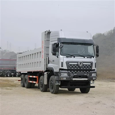 ДОНГ ФЭН ТЯНЬ ДЛИННЫЙ САМОСВАЛ 600HP 11M*2.5M*3.6M БЕЛАЯ ФОРМА